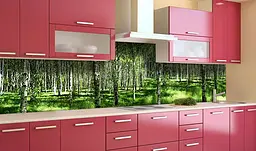 Вініловий кухонний фартух 3Д Березова Роща наклейка для кухні дерева Природа Зелений Happy Pocket Z181825 - мініатюра 4
