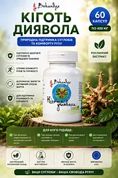 Коготь дьявола экстракт 262 мг, 60 капсул — при скованности после сна, тренировок и работы для подвижности суставов - миниатюра 2