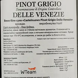 Вино Cantina Castelnuovo del Garda Pinot Grigio, 12%, 1,5 л - мініатюра 4