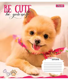 Набір зошитів 1 Вересня Be cute А5 в лінійку 12 аркушів 25 шт. (766941) - мініатюра 4