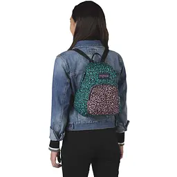 Маленький рюкзак молодіжний 10L Half Pint JanSport 28х25х10 см sum0023994