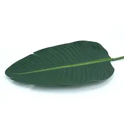 Штучне листя Engard Banana Tree 63 см (TW-51) - мініатюра 3