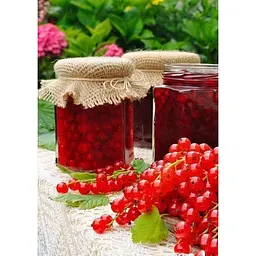 Саджанець Agro-Market Порічка (смородина) червона Олімп (Olympus) (преміальний високоврожайний сорт) 1 шт. в упаковці (24205) - мініатюра 3