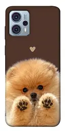 TPU чохол Demsky Spitz on the screen для Motorola Moto G23