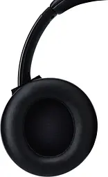 Bluetooth Stereo Panasonic RB-M600BG-K Black UA - мініатюра 6