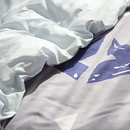 Постільна білизна євро ТЕП Happy Sleep Blue sides 2-03796_35767 220х200 см - мініатюра 7