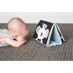 Розвиваюча м'яка книжка Taf Toys Мрійливі коали Пригоди коали Кіммі (12395) - мініатюра 12
