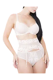 Жіночий пояс для панчохи Daniella V.I.P.A. 4092 півонія 2XL - мініатюра 2
