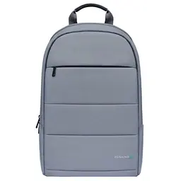 Рюкзак для ноутбука Grand-X Grey 15.6" (RS-365G)
