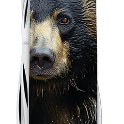 Ніж Victorinox Fieldmaster Animal 91мм 15функ Чорний ведмідь - мініатюра 7