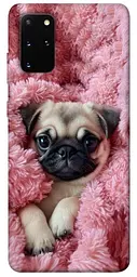 TPU чохол Demsky Мопс у ніжностях для Samsung Galaxy S20+