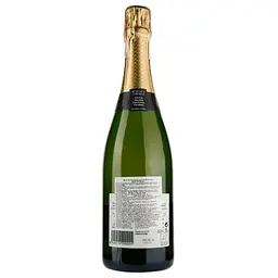 Вино ігристе Torello Fresh Brut Reserva 2016, біле, сухе, 11.5%, 0.75 л - мініатюра 2