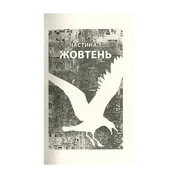 Книга Місто Боуган - Кевін Баррі Астролябія (9786176641285) - миниатюра 4