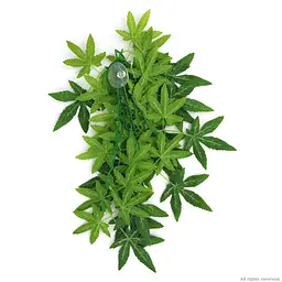 Штучна рослина Repti-Zoo Velvetleaf 40см (TP003) - мініатюра 2