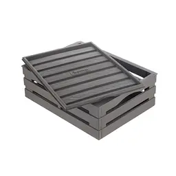 Ящик для зберігання Tina Box з кришкою 41x31x15h сіро-бежевий