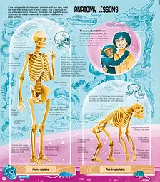 Femina Sapiens - мініатюра 6