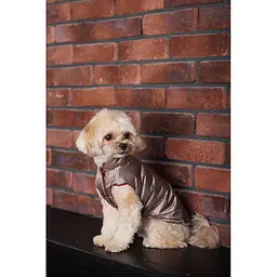 Жилет Pet Fashion Hardy для собак розмір L - мініатюра 8