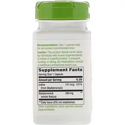 Ламінарія Nature's Way Bladderwrack 580 мг 100 капсул - мініатюра 2