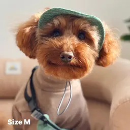 Панама для собак Hat-Dog Олива вельвет (XL) - мініатюра 2