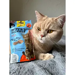 Ласощі для котів GimCat Nutri Pockets Fish лосось 60 г (G-419626) - мініатюра 5