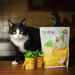 Сухий корм Profine Original Adult для дорослих кішок з куркою та рисом 300 г - мініатюра 6