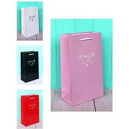 Набір паперових пакетів Upakovkin Мікс 26*15,5*8см (12шт/уп) №СР-3007/12N