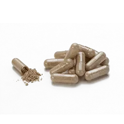 Молочний Чортополох НСП, 60 капсул | Milk Thistle NSP - мініатюра 2