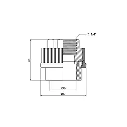 Муфта PPR Thermo Alliance 40х1" 1/4 ВР DSB208