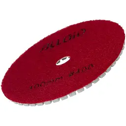 Круг алмазний Alloid Building Tools шліфувальний на липучці 100 мм зерно 400 (DD-63288) - мініатюра 3