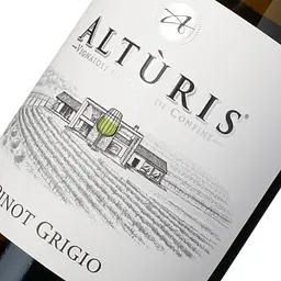 Вино Alturis Pinot Grigio Fruili біле сухе 13% 0.75 л - мініатюра 5