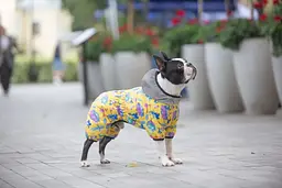 Комбінезон для собак Waudog Clothes, Рік та Морті 3, L50 - мініатюра 3
