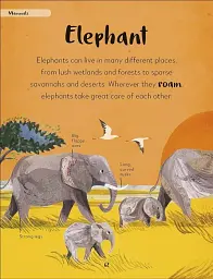 The Bedtime Book of Animals - мініатюра 2