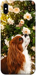 TPU чохол Demsky Flower spaniel для Apple iPhone XS Max (6.5")