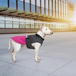 Попона Pet Fashion Roy для собак, розмір 6XL, малиново-сірий - мініатюра 7