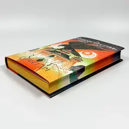 Расплести сумерки - Элизабет Лим | Родной язык, книга на украинском, новая, твердая - миниатюра 4