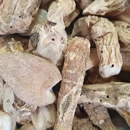 100 г женьшень біле коріння/коріння життя сушене - свіжий срожай