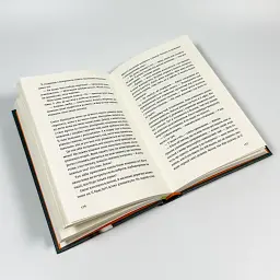 Незнайомець нагорі - Ліза Матлін | Видавництво Старого Лева, книга українською, нова, тверда - мініатюра 4