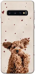 TPU чохол Demsky Сute doggy для Samsung Galaxy S10