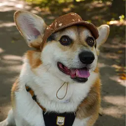 Бейсболка для собак Hat-Dog Bambi (M) - мініатюра 2