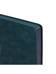 Щоденник 2027 А5 LEO Planner Case датований темний (252745) - мініатюра 3