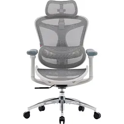 Крісло офісне Sihoo Doro C300L Mesh White (DORO-C300L-A3-102)