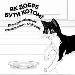 Сухий корм Felix Doubly Delicious для дорослих котів з лососем, океанічною рибою та буряком 800 г - мініатюра 7