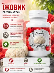 Комплекс грибів, 3×60 капсул — їжовик, шіїтаке та лисичка при перевтомі для імунітету, концентрації й травлення, BEKANDZE - мініатюра 5