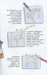 Мія дорослішає. Що треба знати про дозрівання - мініатюра 6