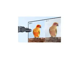 Монітор Xiaomi 2K Monitor A27Qi 2026 (ELA6568EU) - мініатюра 8