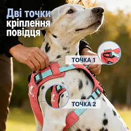 Шлея для собак Nunbell No-Pull з повідцем, регульована та світловідбивна 3XL, Червоний - мініатюра 6