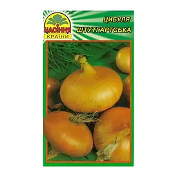 Насіння цибулі Штутгартська 1 г (Насіння країни)