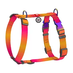 Шлея для собак WAUDOG Nylon Recycled анатомічна H-подібна з QR-паспортом, градієнт, S помаранчева (52864)