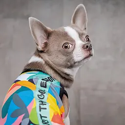 Майка-борцовка Pet Fashion Cool для собак, розмір XS2, з принтом - мініатюра 4