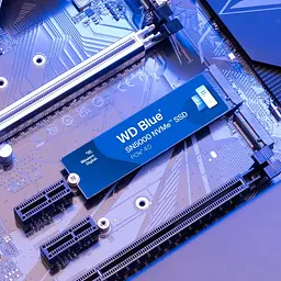 SSD накопичувач WD Blue SN5000 1TB (WDS100T4B0E) [153946] - мініатюра 7